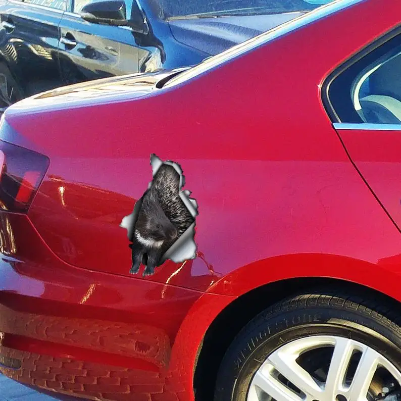 

2021 Porcupine car decal , crested porcupine magnet,porcupine sticker