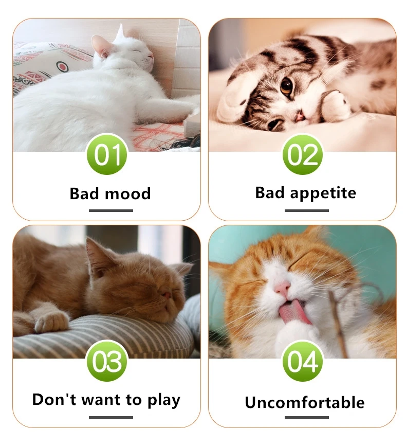 10/20/30 г кошачья мята натуральный органический Премиум ментоловый аромат можно