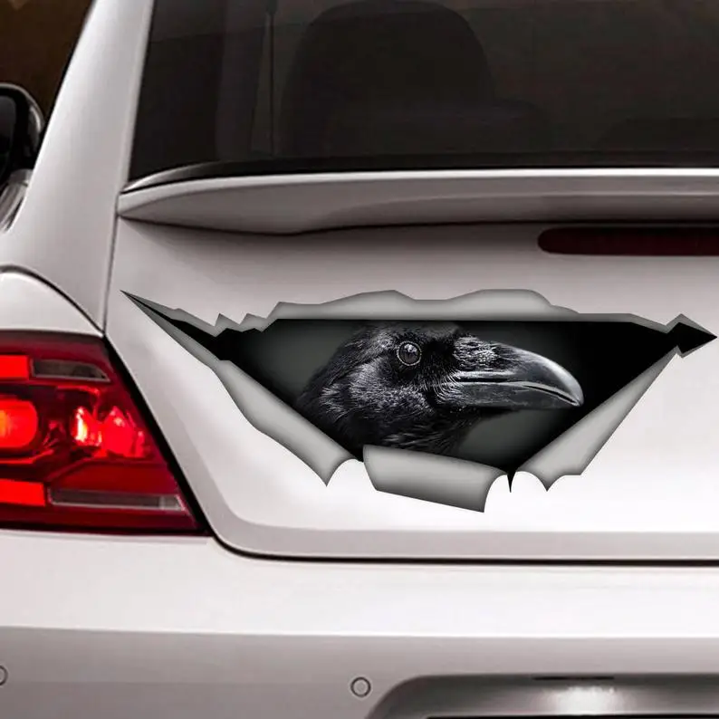 

Crow car decal, black bird decal, bird sticker, crow sticker