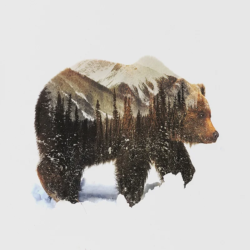 

Painting By Number Bear Animal With Frame 60x80 Oil Picture For Adults DIY kits Acrylic Paints Color By Number Home Decoration