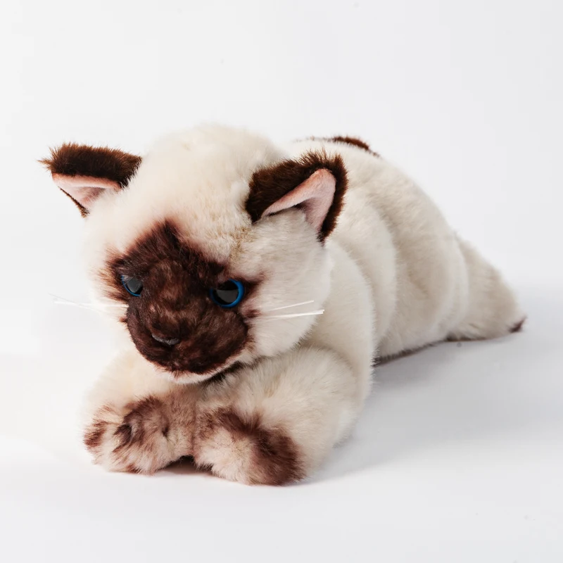 Siamese Cat Милые плюшевые игрушки для кошек, реалистичные куклы для кошек, подарки для девочек, 20 дюймов, 50 см, DY50741 - Цвет: Siamese Cat