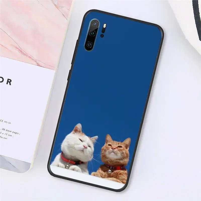 

cute cat Phone Case For Huawei honor Mate P10 20 30 40 Pro 10i 7 8 a x Lite nova 5t