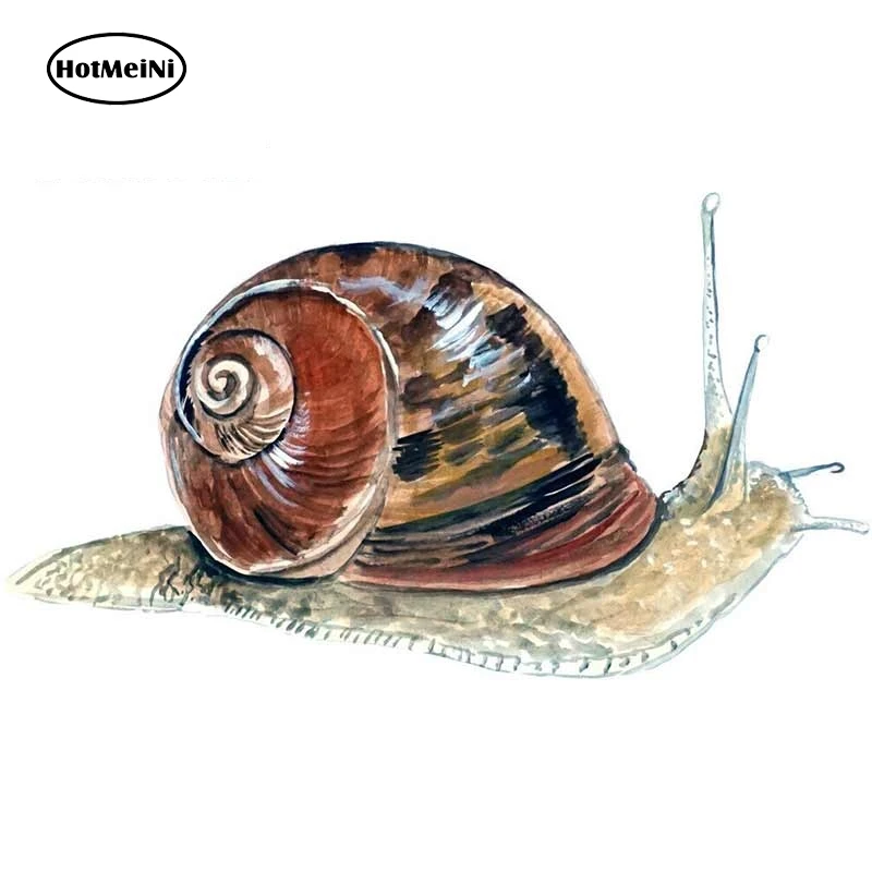 Виниловая наклейка HotMeiNi для моллюсков и 13 см х 7 3 |