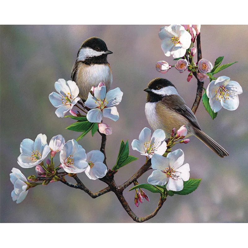 Алмазная 5D картина натуральные птицы круглые алмазные 3d картины сделай сам