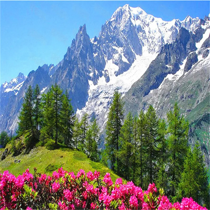 

Diy Diamond Painting Modern Natural Landscape Snowed Mountain Scenery Peculiar Personality Bedroom Decoration Painting