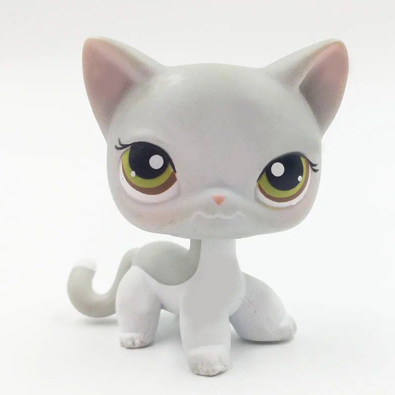 

LPS CAT Rare Littlest pet shop Bobble head toys standing #138 old original short hair cat grey & white kitten with brown eyes