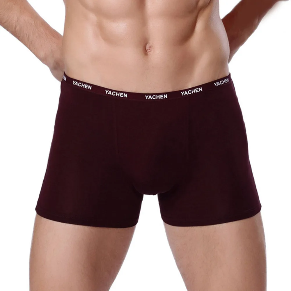 5 шт./лот хлопковое Мужское нижнее белье мужские боксеры Calzoncillos Hombre shirty Slip Homme