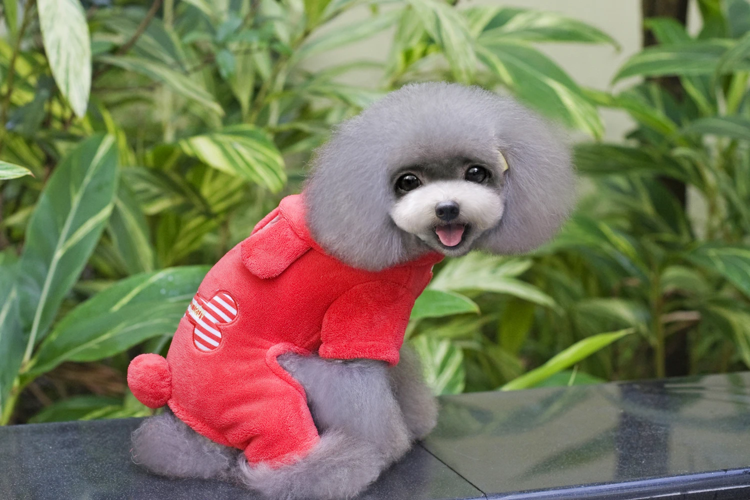 Цена Теплая зимняя одежда с рисунком костей для собак и щенков, толстовки, пальто для собак, свитер, комбинезон, пижама, верхняя одежда, товары для...