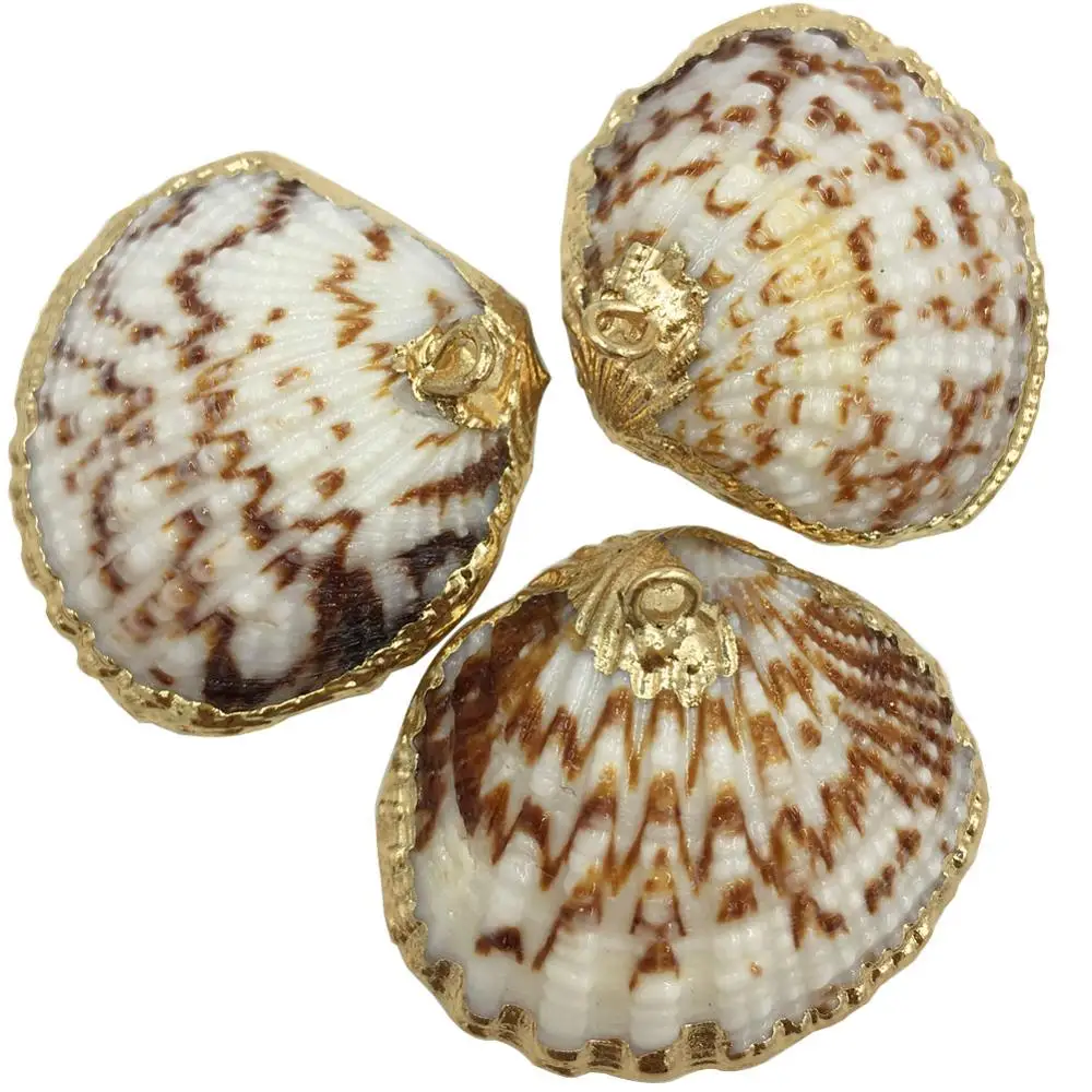 Бесплатная доставка красивые украшения ракушка Улитка Женщины Мужчины Кулон