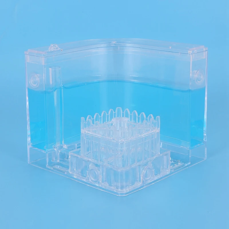 

DIY Moisture with Feeding Area Ant Nest Ant Farm Ant Nests Villa Pet for House Ants Ant Workshop Ant Nest Science Educational To