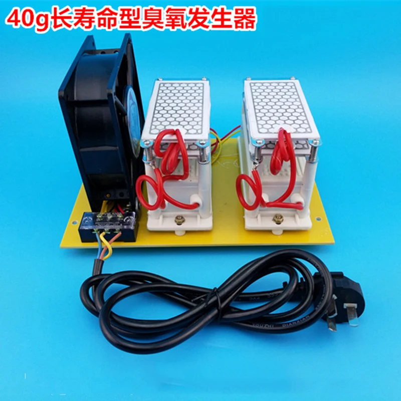 

40g Integrated Ozone Generator High Efficiency with Fan