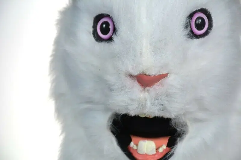 Костюм-талисман с изображением белого кролика из мультфильма | Тематическая