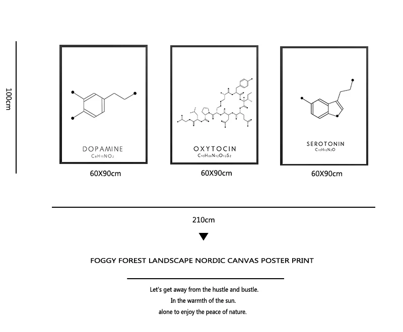 Настенная Картина на холсте молекулы серотонина постер с принтом окситоцина и