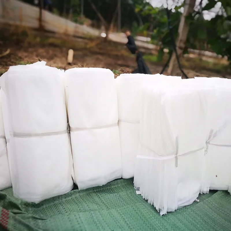 Защитные мешки для фруктов овощей и растений 10 шт./лот защитные от насекомых