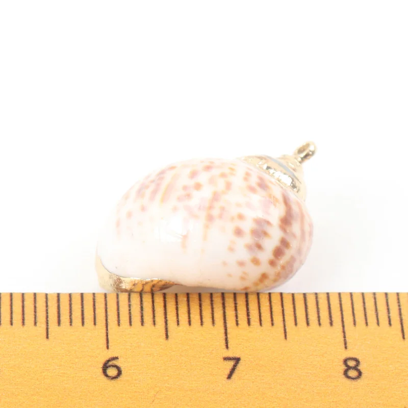 5 шт. декоративные ракушки для аквариума пляжа | Дом и сад