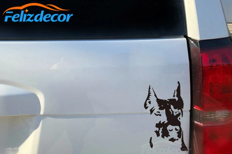 Виниловая наклейка для автомобиля с изображением грустных собак - купить по