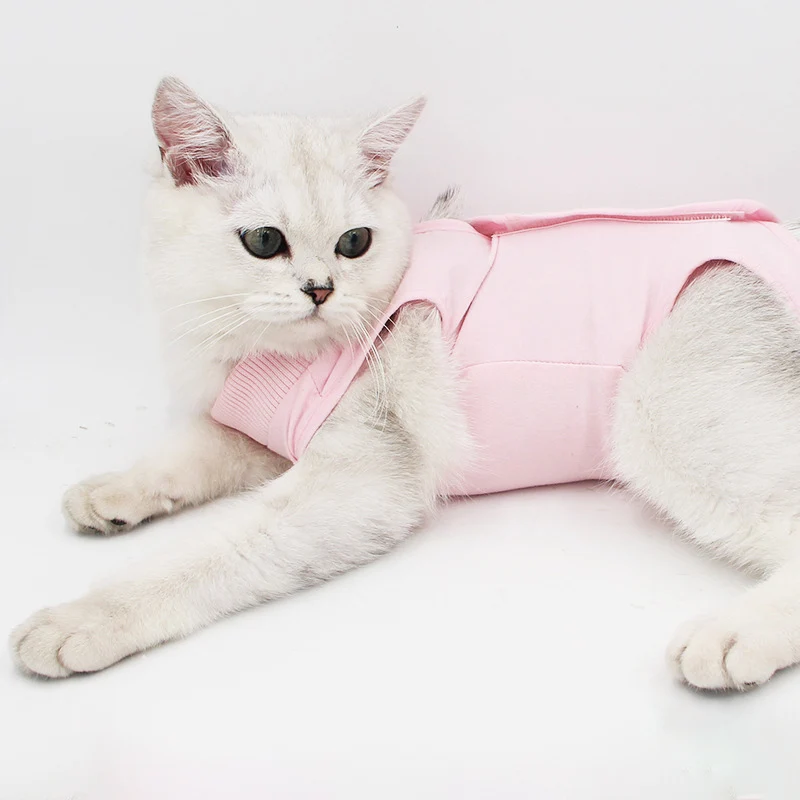 Одежда для кошек женская одежда стерилизации послеоперационная не лизает летняя