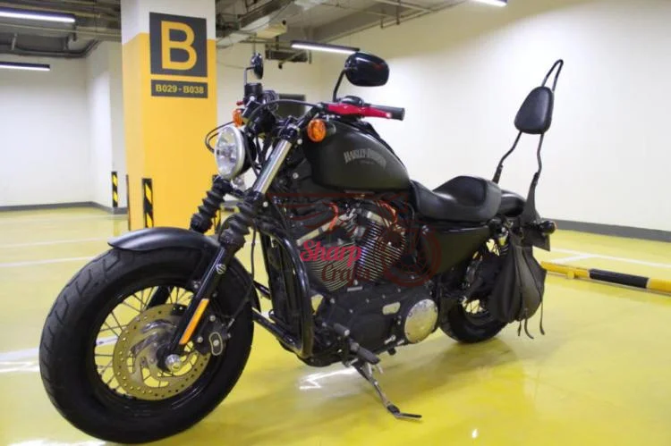 Съемная спинка пассажира для мотоцикла Harley Sportster XL883 XL1200 XL883C XL883R XL1200R XL1200C X48 -