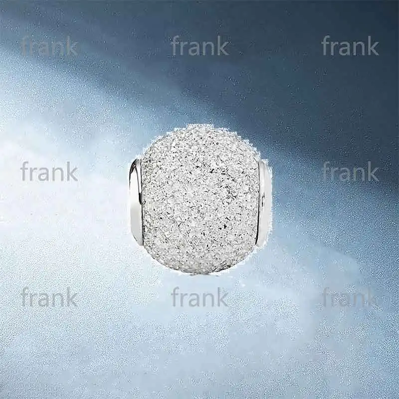 

796016 Wisdom Silver Charm -