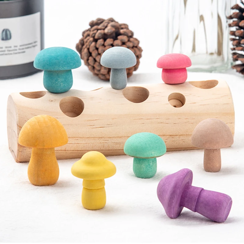 

montessori educational wooden toys sensory Shape Matching Size Cognition montessori toys for 3 year olds baby toys juguetes