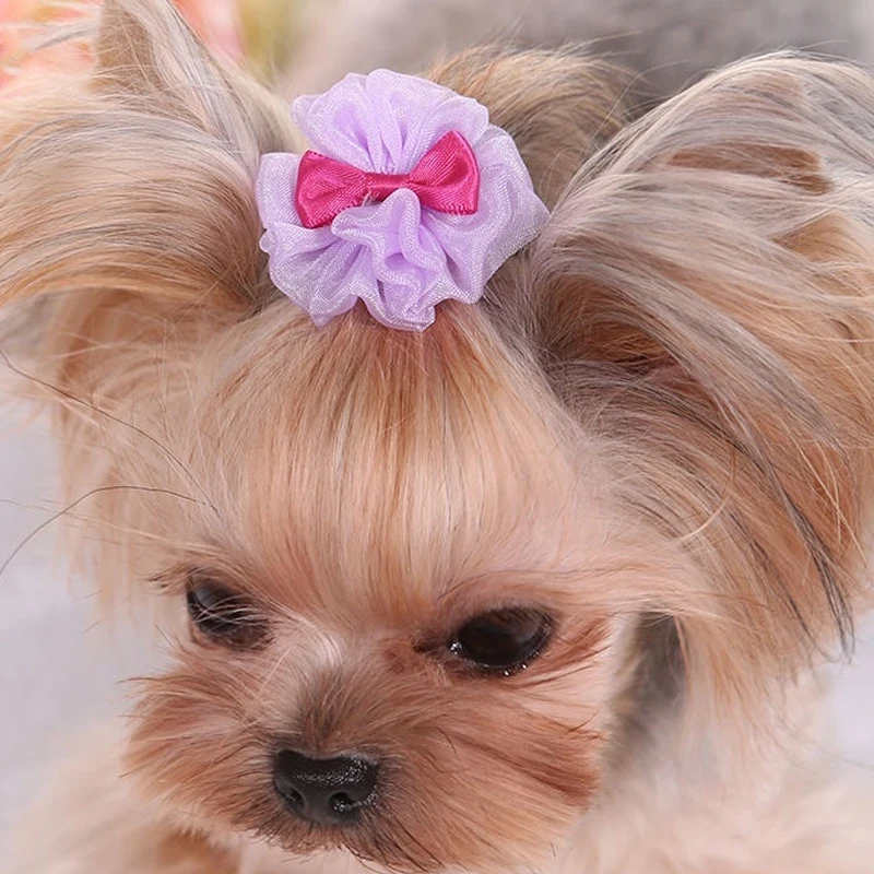 

Dog Hairpin Cat Cute Bow Hair Clip For Pets Accessories Grooming Hair Clips Bowknot Dog Hair Clip Headdress Pet Hair Decoration