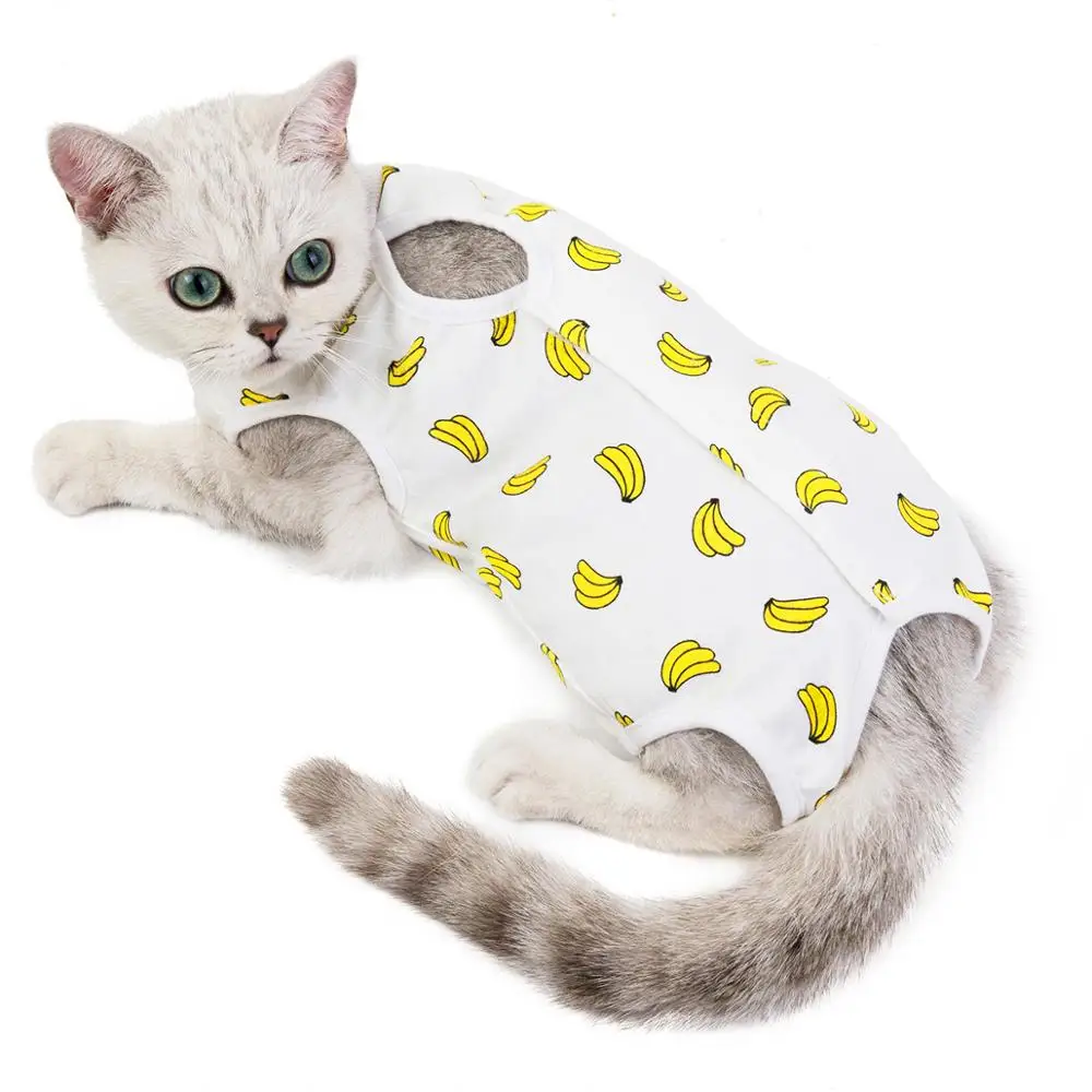 

Cat Clothes Pet Clothes Cat Surgical Gown Anti-licking Weaning Clothes Spring Summer 2020 New Pet Suppliers