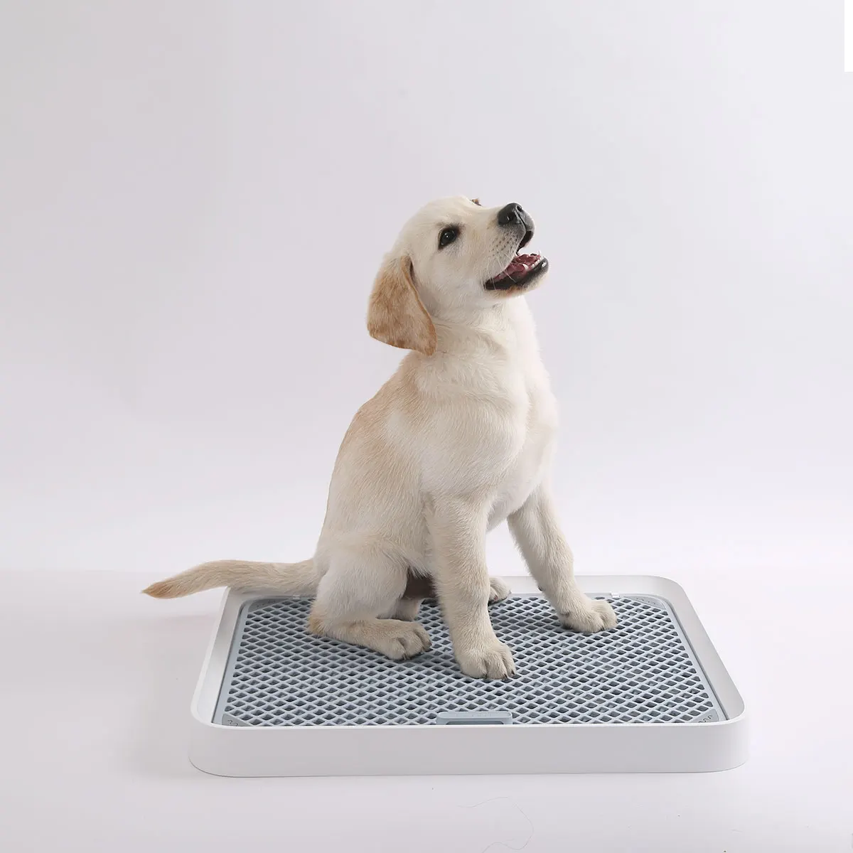 Коврик для подстилки собак пластиковый поднос моющийся коврик щенка