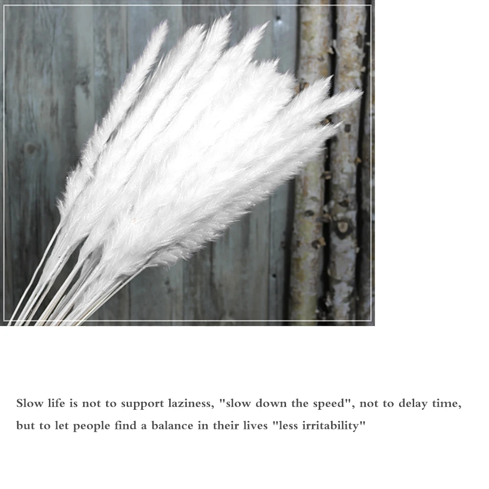 15 шт. сушеных тростников Цветочная композиция натуральная пампасная трава