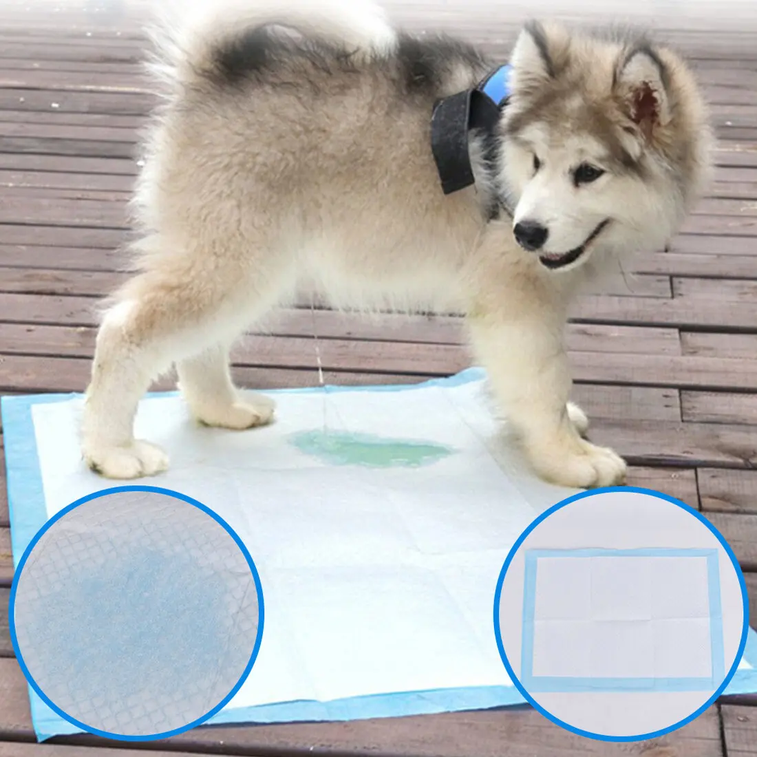 

Pet Diaper Disposable Dog Poop Bag Dog Potty Super Absorbent Training Dog Diaper Healthy Cleaning Dog Pad Puppies Training Mat