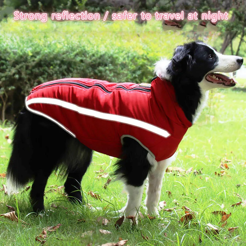 

The latest thick clothes for pet large dogs, reflective warm coats for comfort and warmth in autumn and winter, pet clothes