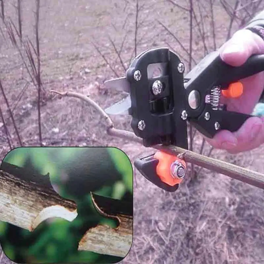 

Pro Garden Fruit Tree Pruning Shears Scissor Grafting Pruner Cutting Tools