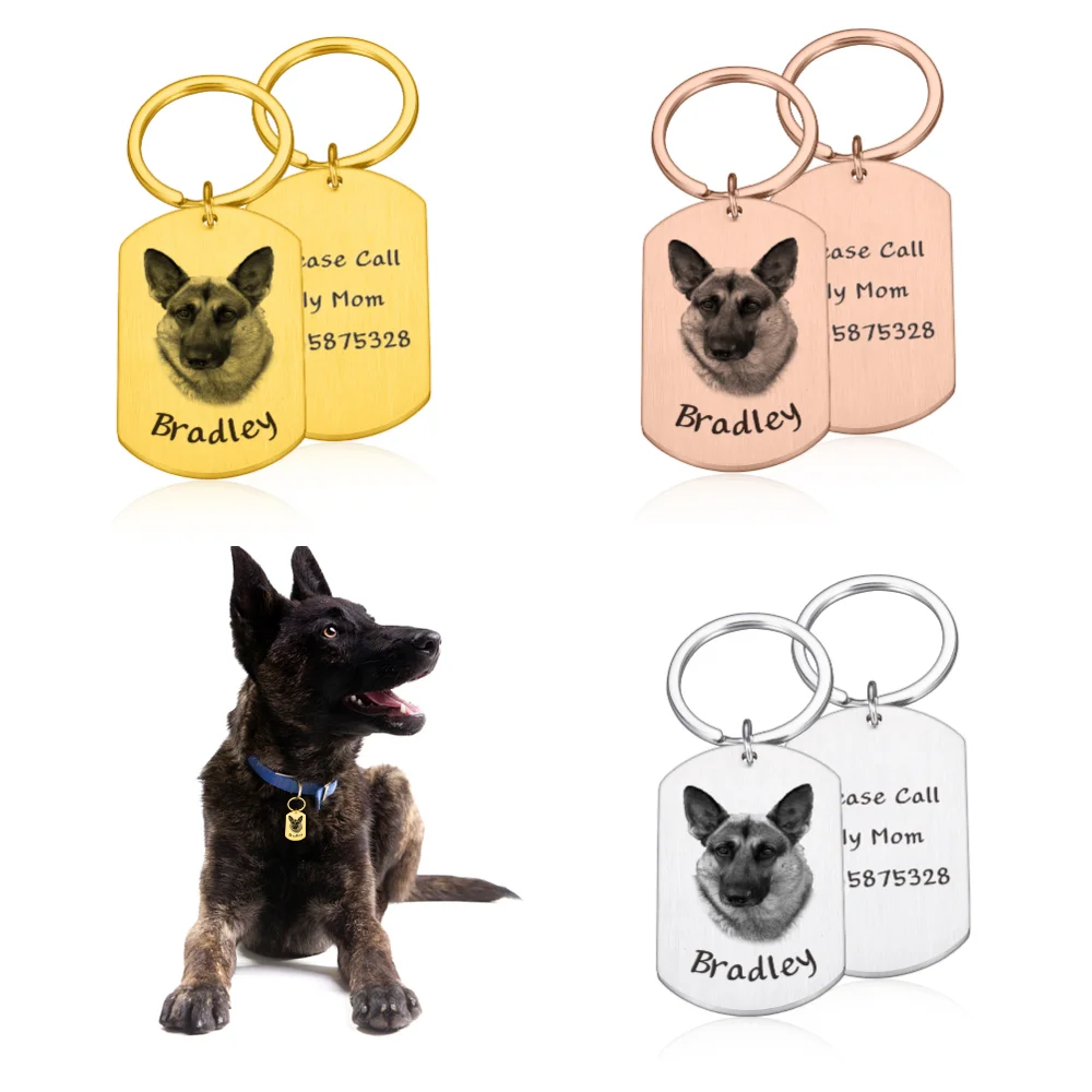 

Free Engraved Customized Name Tags Pet Dog Tags Cat Collar Accessories Decoration Pet ID Dog Tag Collars Stainless Steel Cat Tag