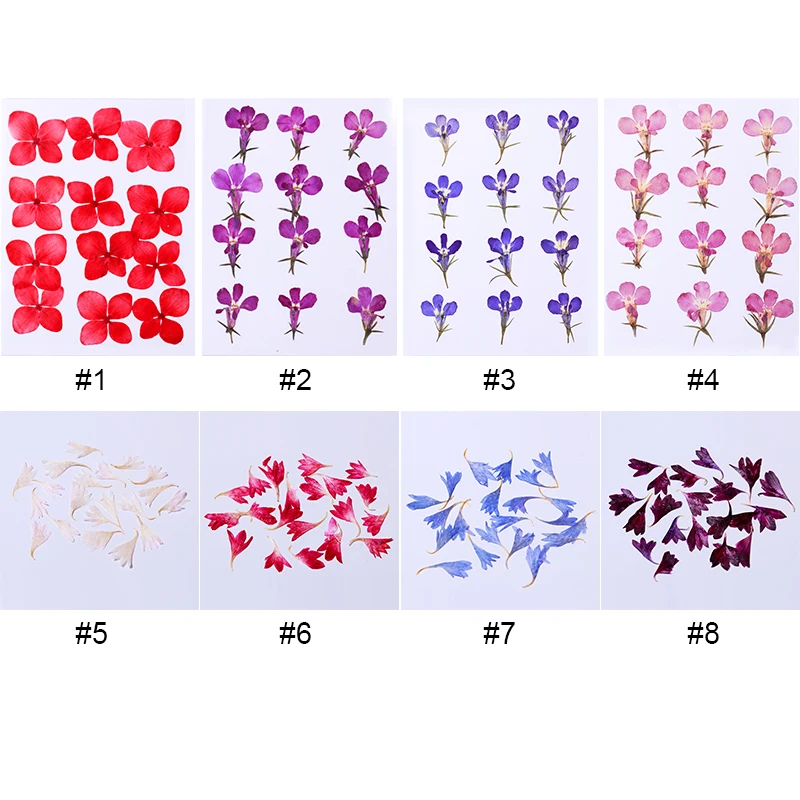 Сушеные цветы украшение для ногтей натуральная наклейка в виде цветка 3D сухие