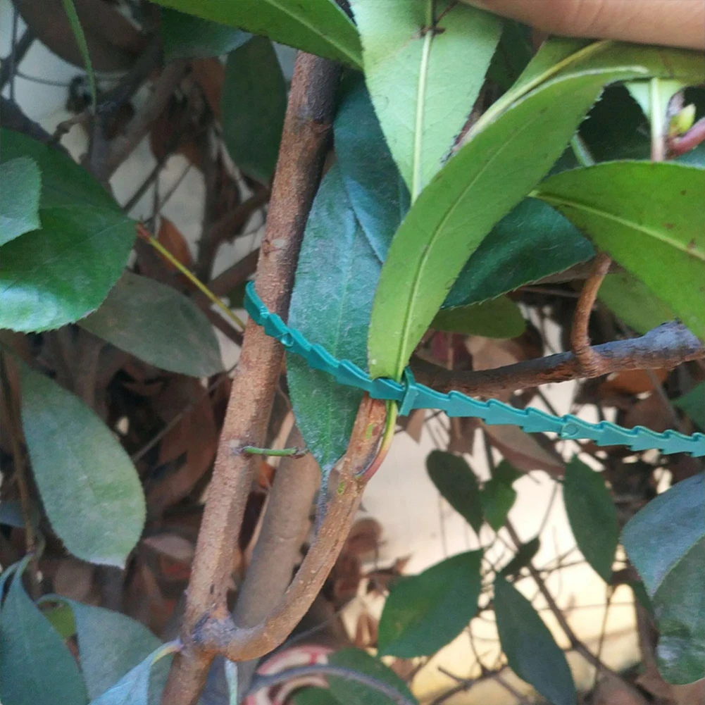 50 шт. многоразовые пластиковые ремни для растений садовые инструменты | Дом и сад