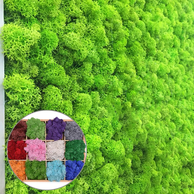 

20g Artificial Plant Eternal Life Moss Garden Home Decoration Wall DIY Flower Material Mini Garden Micro Landscape Accessories