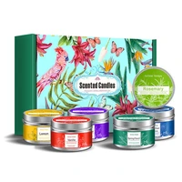 vegetable oil candles set portable travel tin gift for women stress relief aromatherapy scented candle jar gift set for women