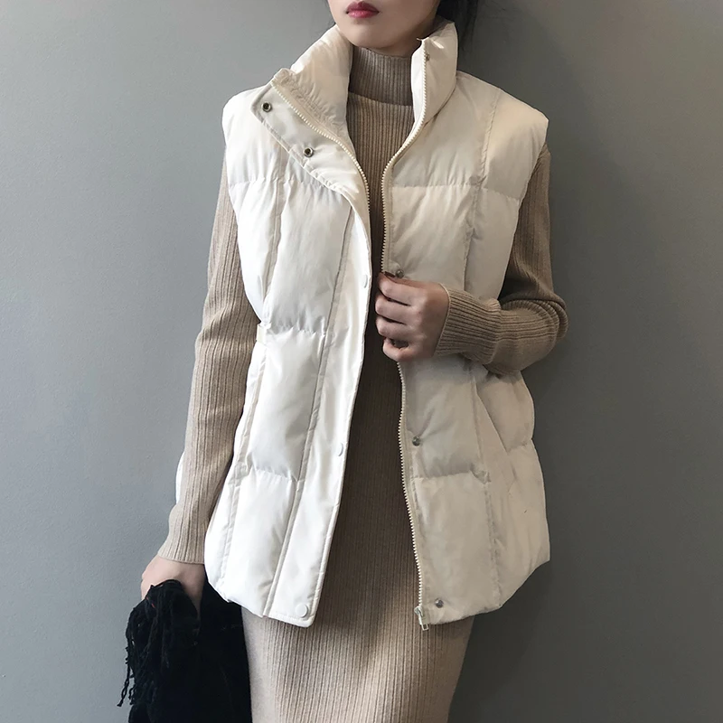 Women's Winter Jacket Women 2021 New Korean Style Solid Color Stand-up Collar Cotton Horse Fashion Sleeveless Loose | Женская одежда