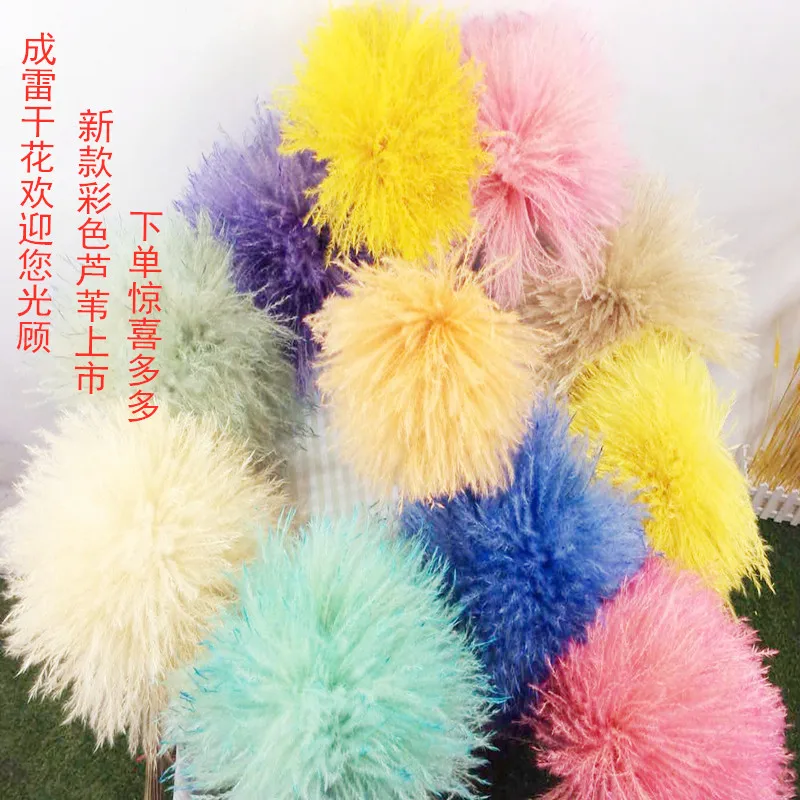 Натуральные пампасы трава Декор цветы сушеные растения свадьба букет Рождество