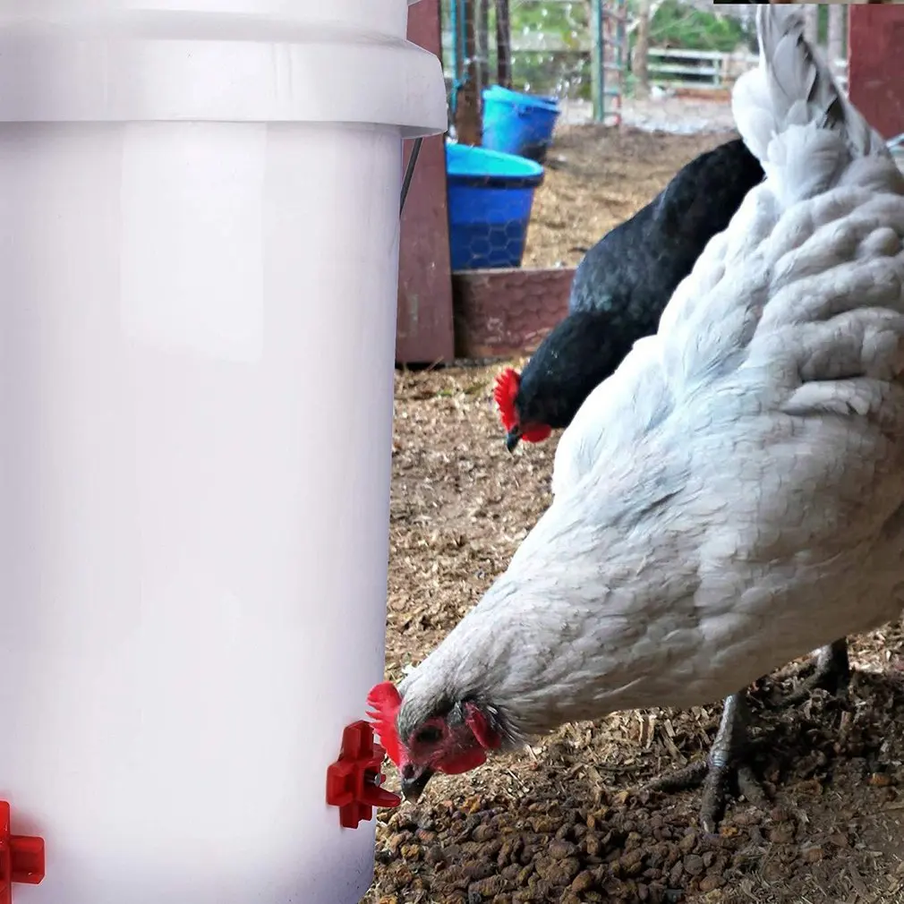 

Automatic Chicken Feeding Water Dispenser Chicken Water Dispenser Mouth Horizontal Side Mount Chicken Waterer