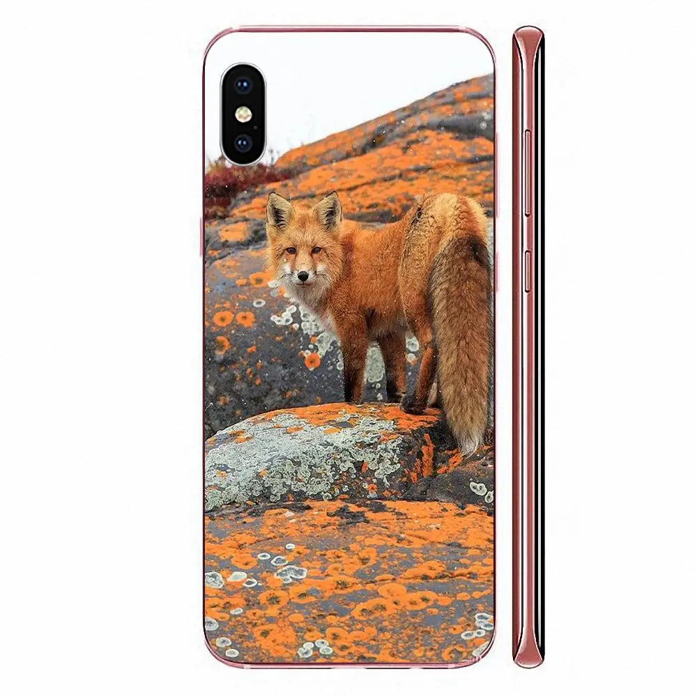 Fox Oil Artist стильный мягкий телефон с животными для Xiaomi CC9 CC9E Mi 3 4 4i 5 5S 6 6X 8 9 SE Play Plus Pro