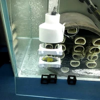 aquarium incubator acrylic fish hatchery eggs instead mouth brooding fish breeding tool 50mm aquarium fish egg incubator