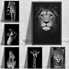 Плакаты и принты на холсте, с изображением дикой природы, зебры и льва, для гостиной