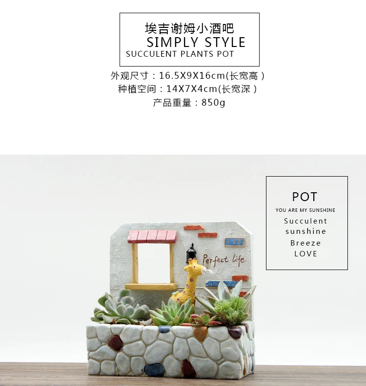 

My Garden Scene More Meat Hanging Creative Japanese Plants Flower Implement Green Potted Flower Pot In Personality