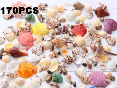 

170PCS Mixed conch Ocean Sea shells Wedding Decor Beach Theme Party, Seashells Home Decorations Aquarium Fish Tank Candle Making