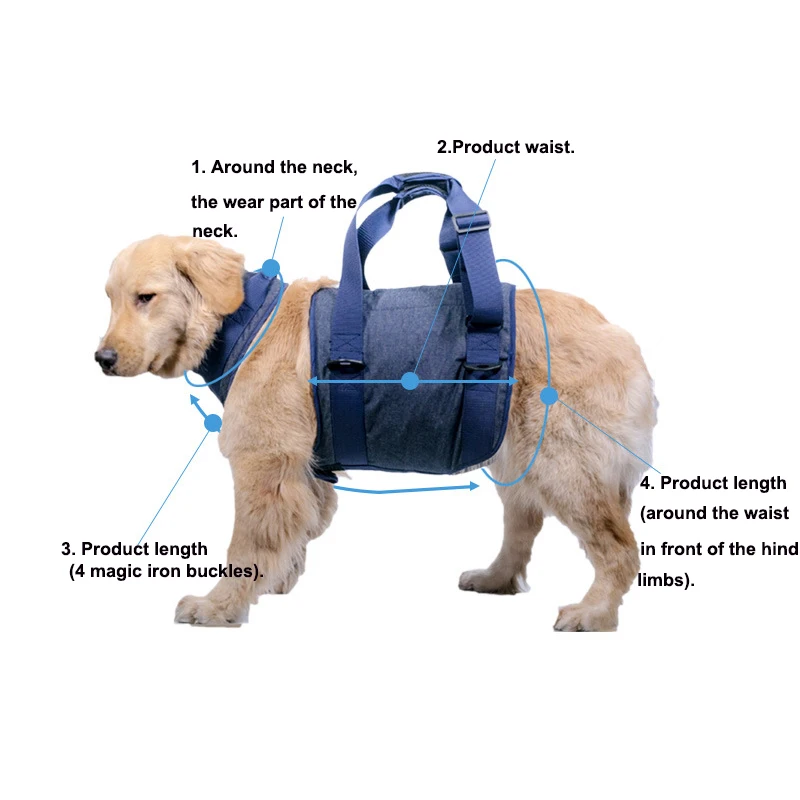 

Pet Products