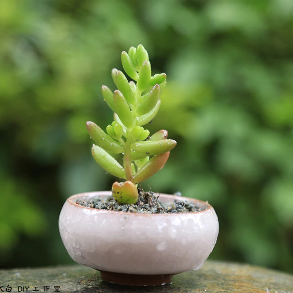 Керамический горшок с трещинами для льда Zisha серийное растение суккулентов