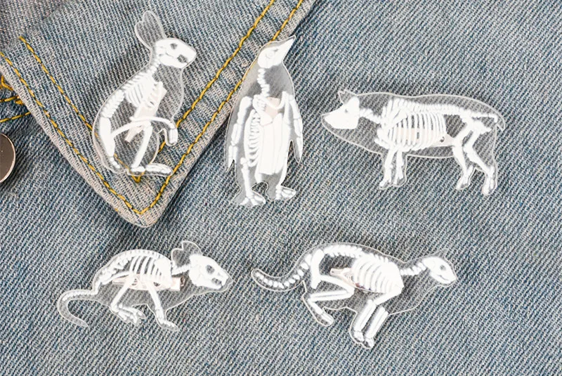 Брошь акриловая в виде животного 6 видов с изображением скелета кошки свиньи