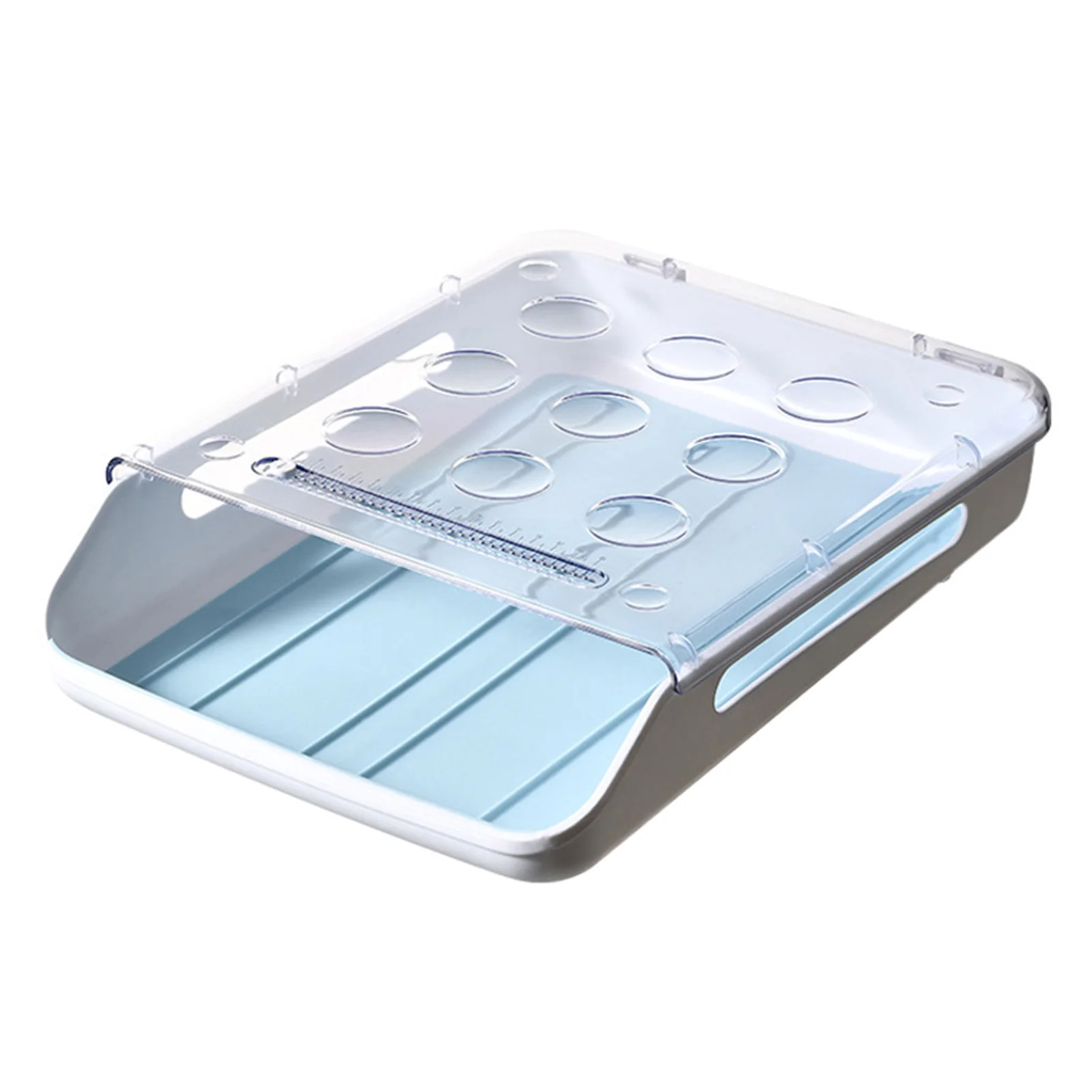 

Egg Storage Box Single Layer with Lid Large Capacity Plastic Transparent Egg Case H88F