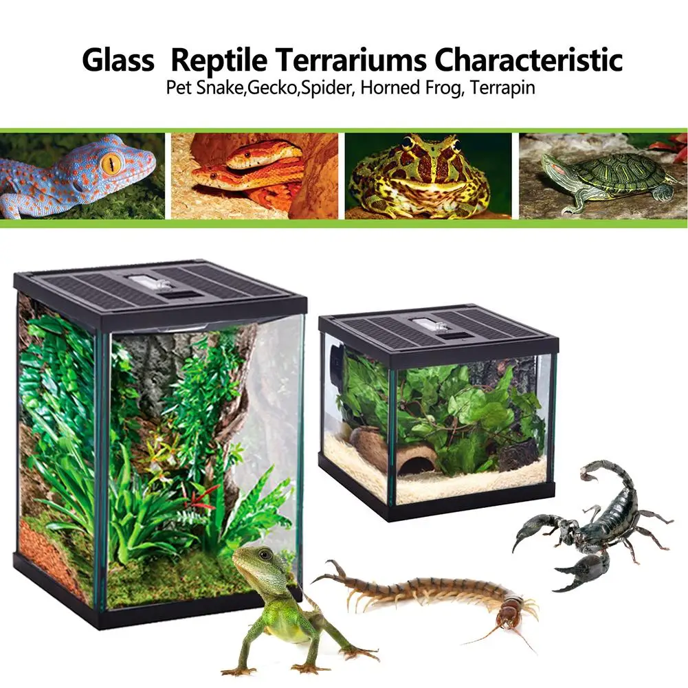 Стеклянный террариум для рептилий натуральный удобный ползающий ящик кормления