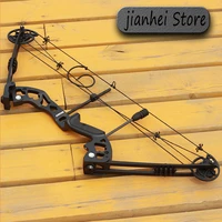 1 set of 30 60 lb compound bow and arrow outdoor sports fish archery bow knock down bow fishing gear hunting bow and arrow set